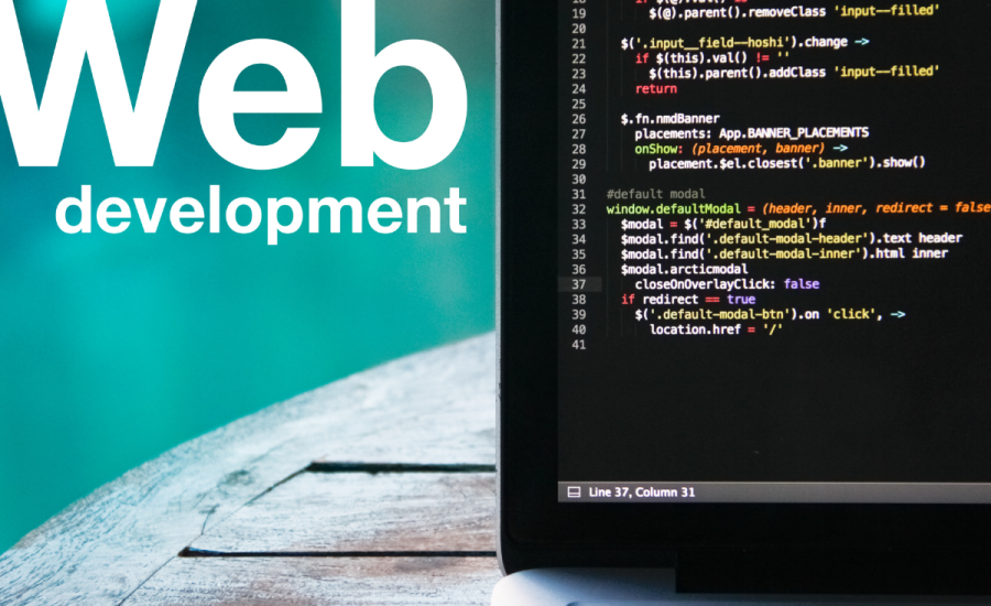Things to Look for in a Web Development Agency